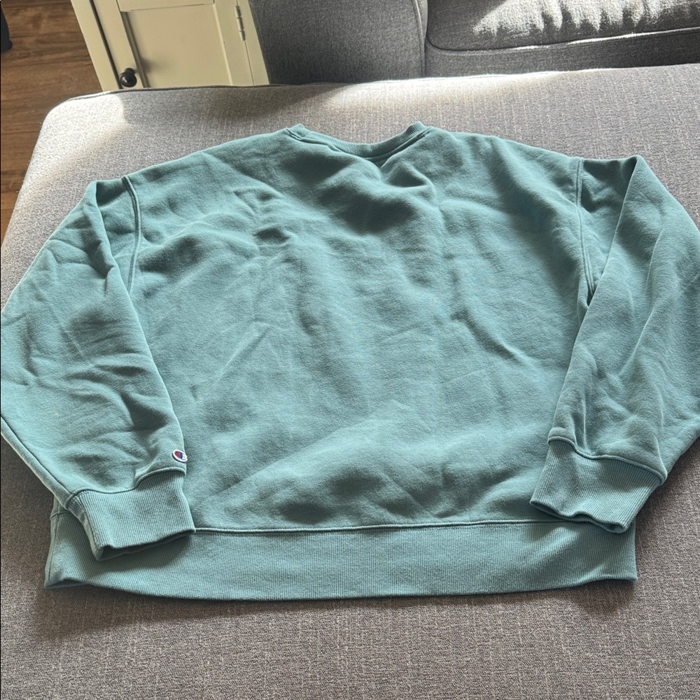 Champion Men's Teal Crewneck Sweater - Picture 3 of 3